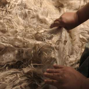 Case Study: Inca Tops' Sustainability Claims Worker at Inca Tops fiber plant working with alpaca fiber